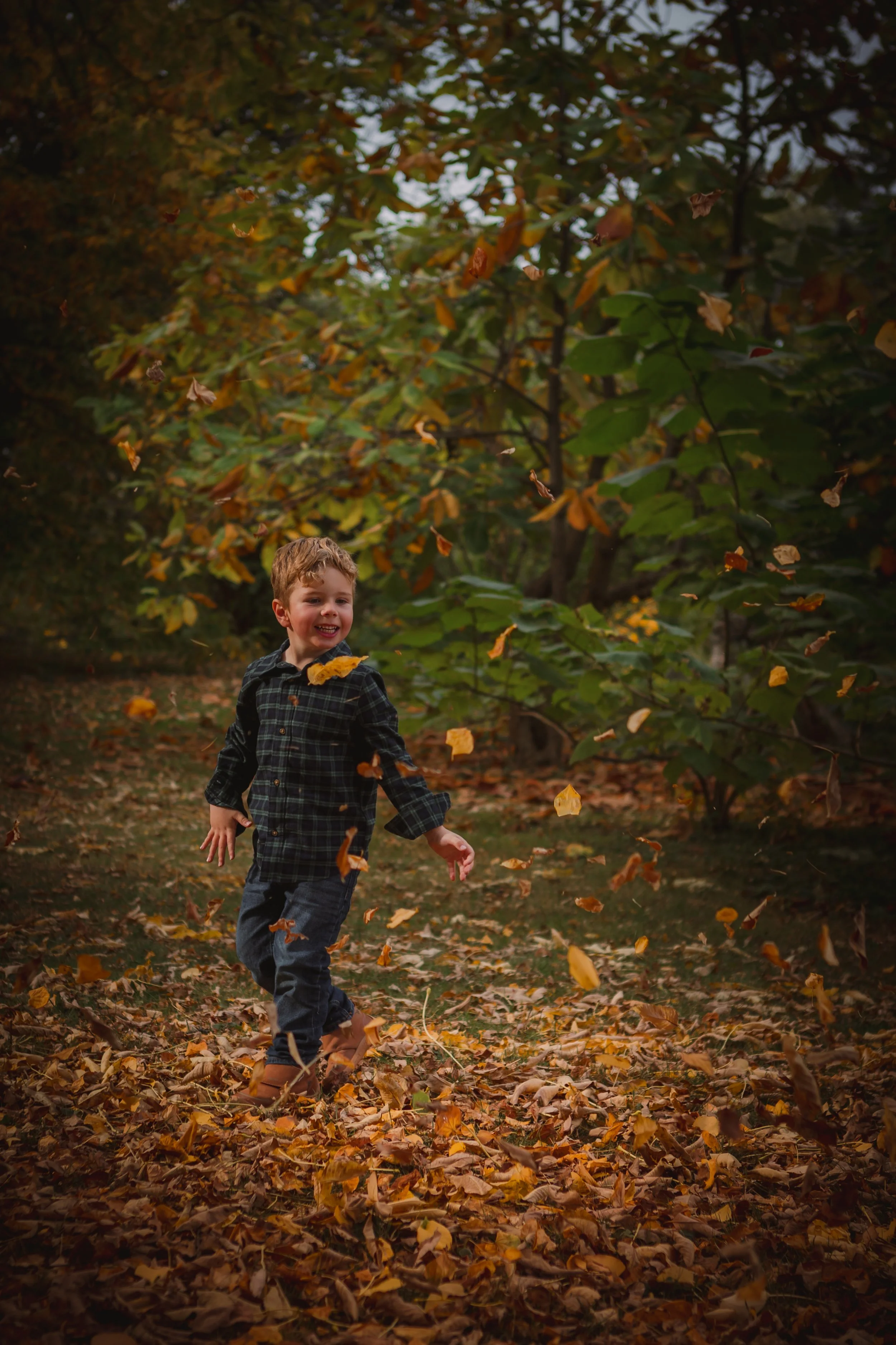 A young boy in a plaid shirt and jeans playing in a fall forest with falling leaves.