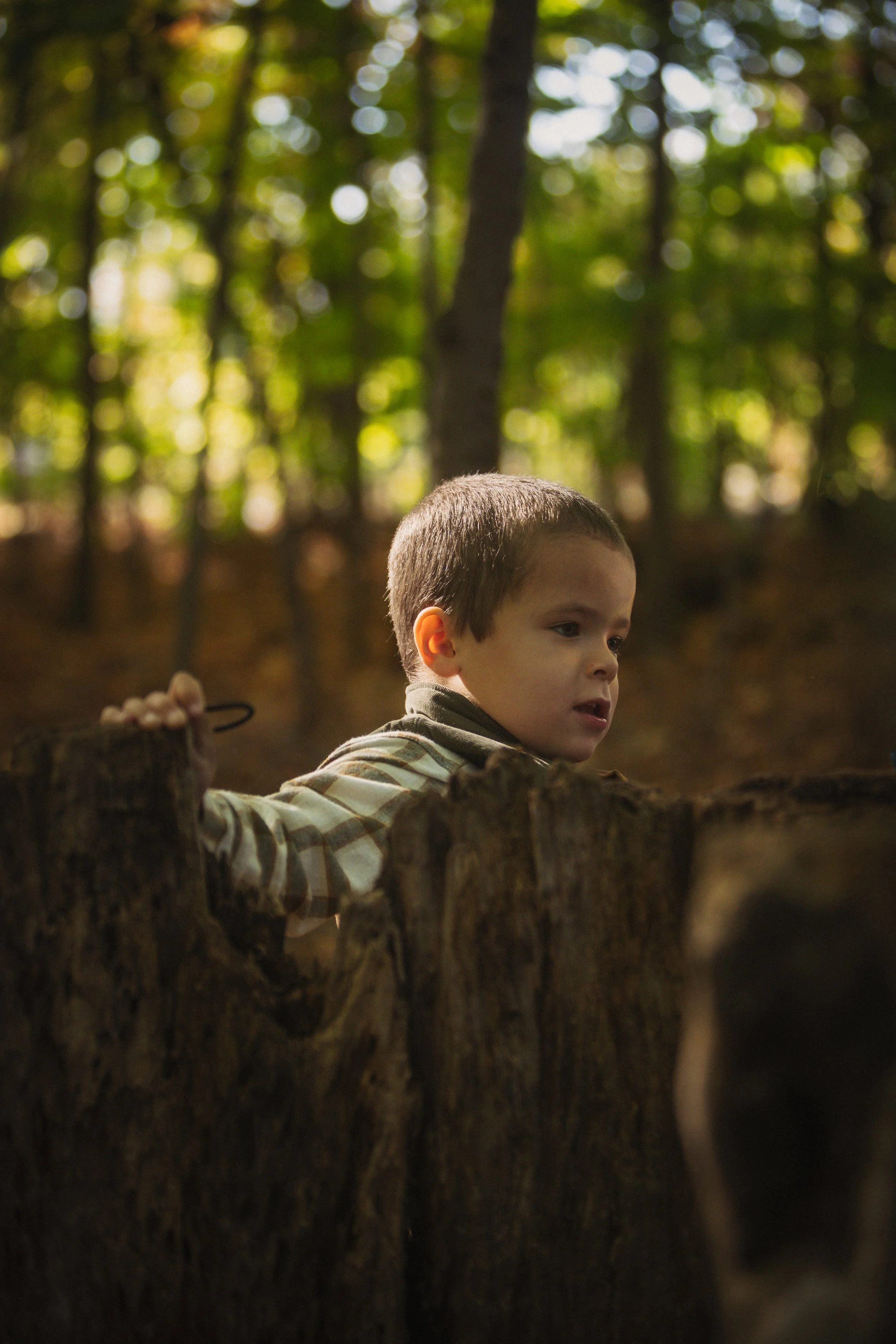 Young boy with short brown hair looking over a fallen tree trunk in a wooded forest area with green foliage and trees in the background.