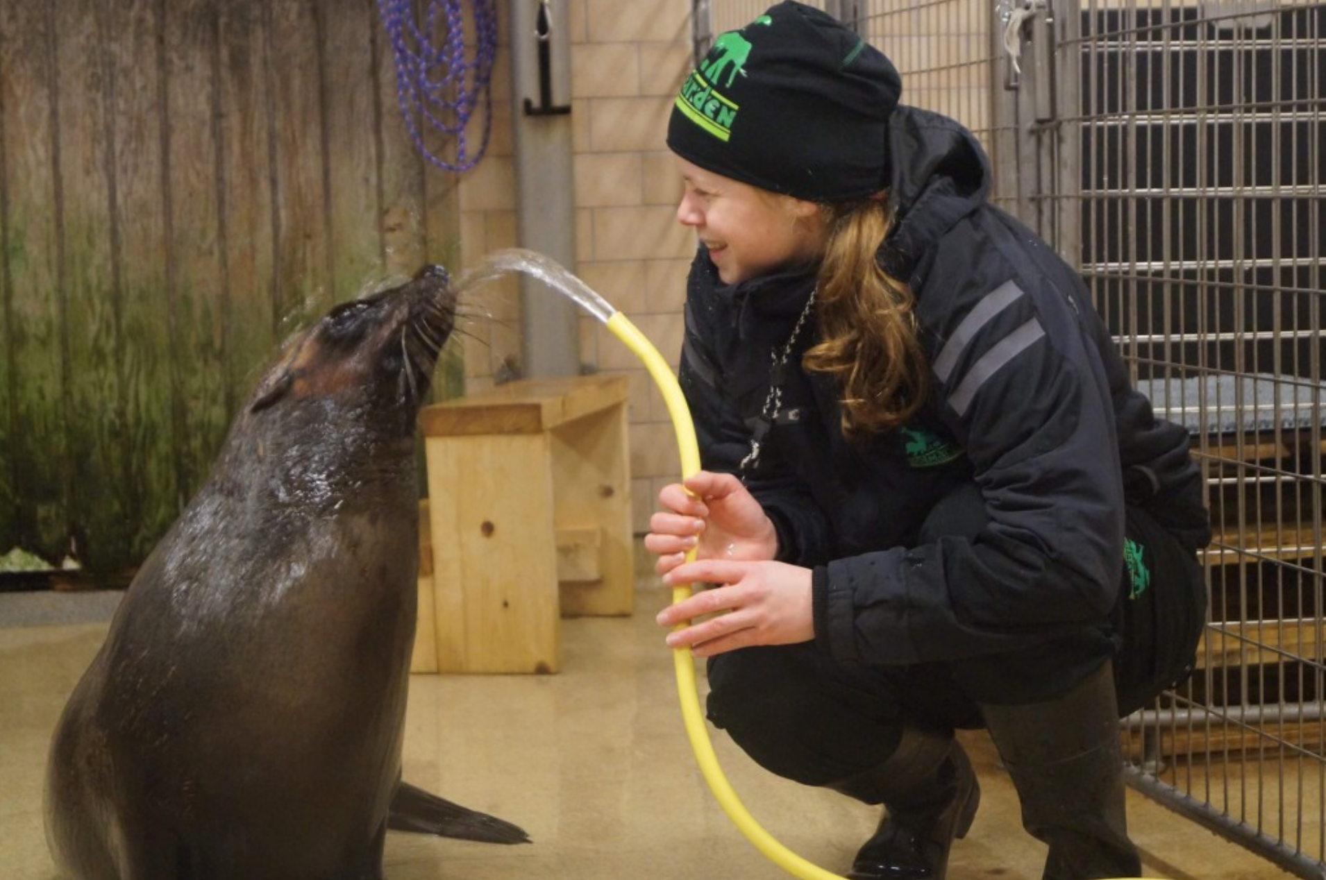 Examining the Conscious Choices of Animals