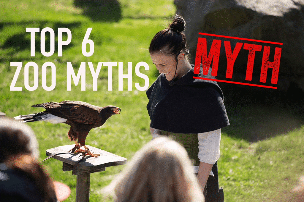 Top 6 myths about zoos