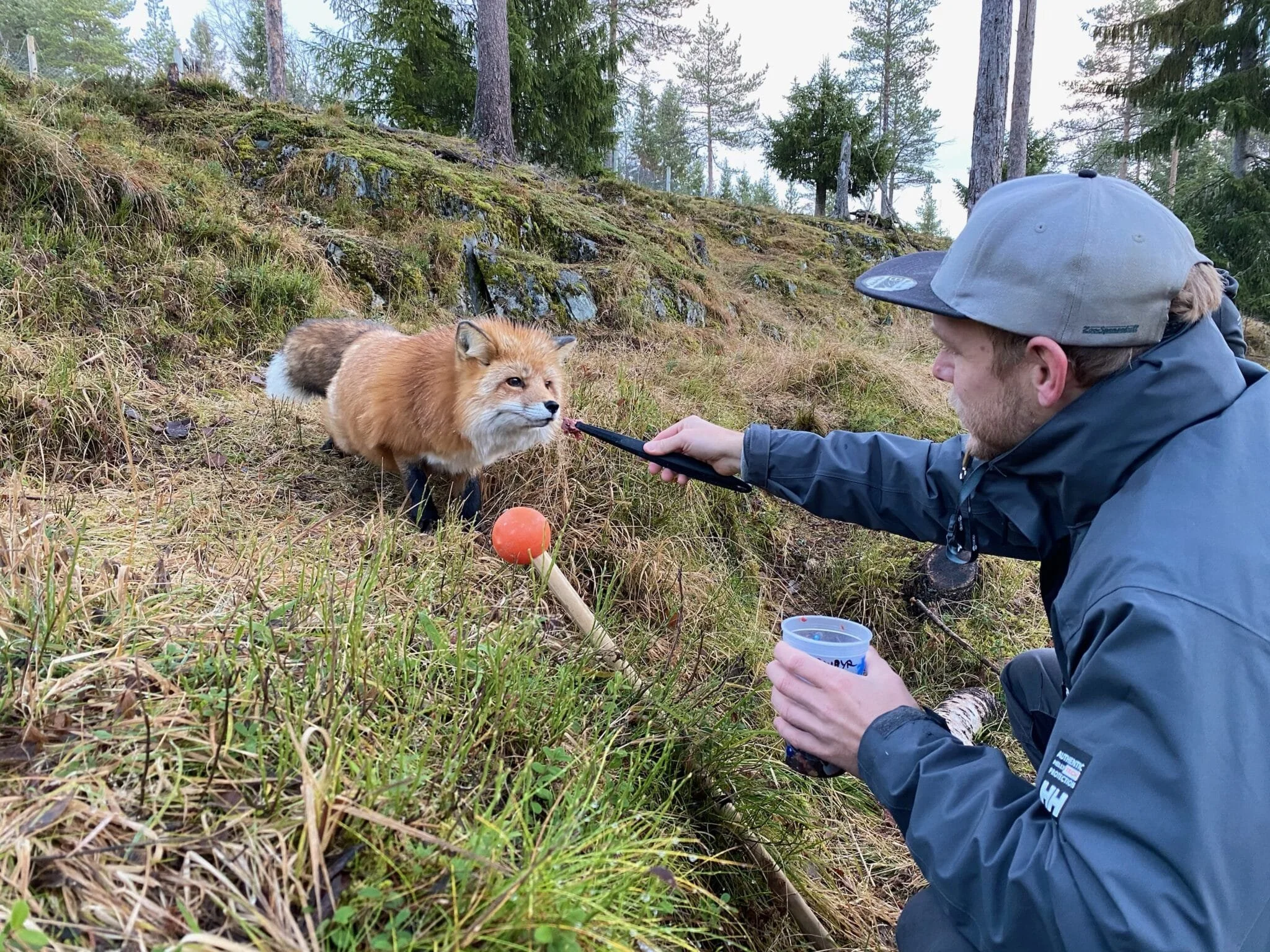The Terrible Truth About Training With Reinforcement