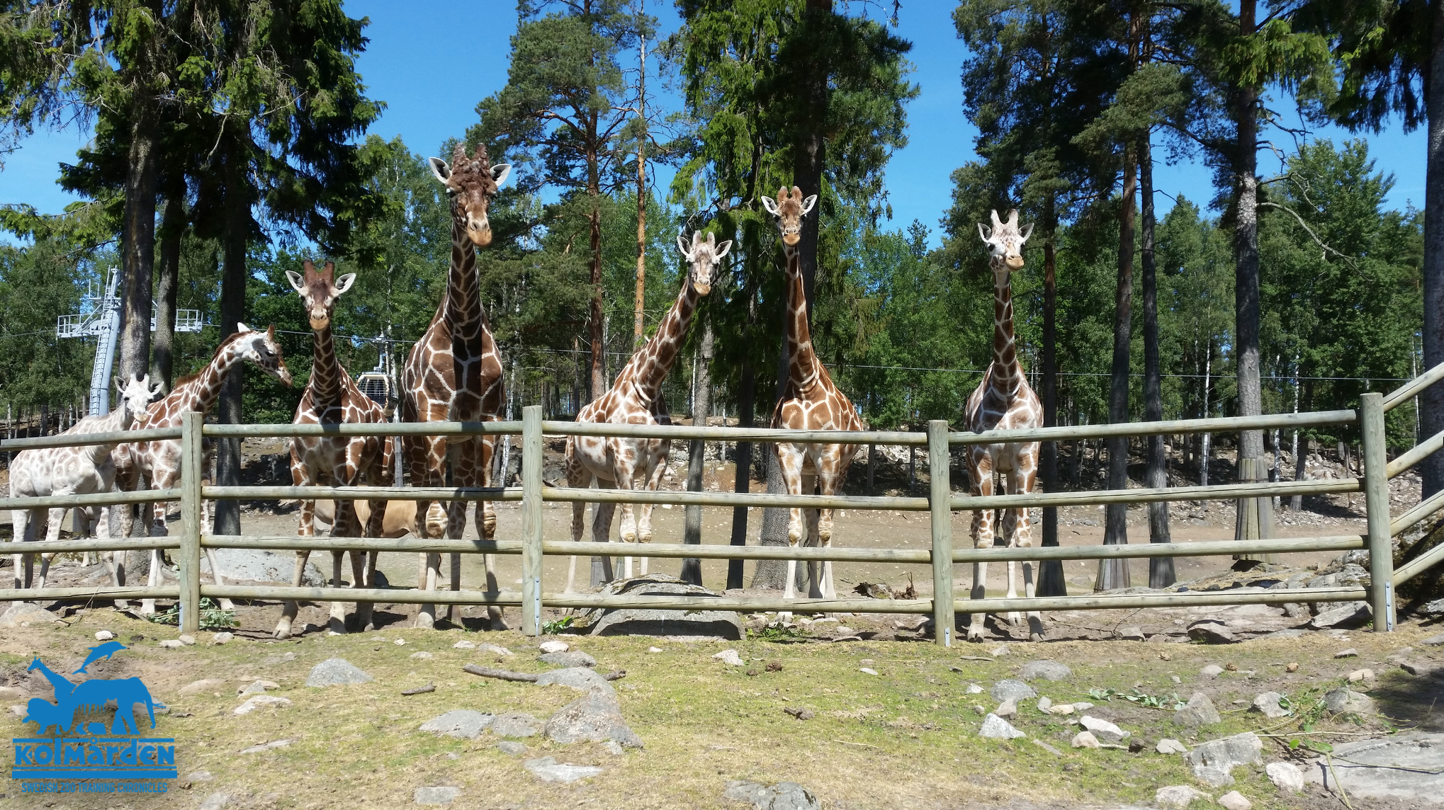Thoughts for Behaviour: Species and individuals who prefer to flee... Where do you start?