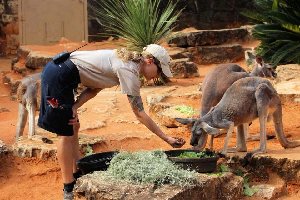 Are You Really Asking Your Animal To Participate? 