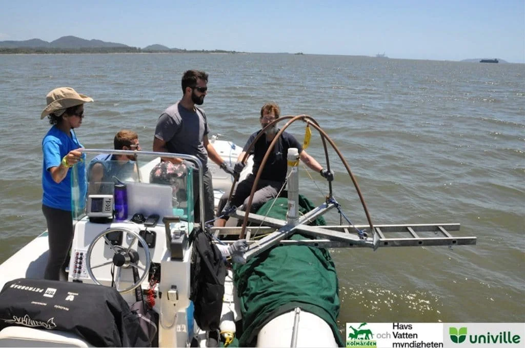 Research in dolphinarium helps saving the Franciscan dolphin