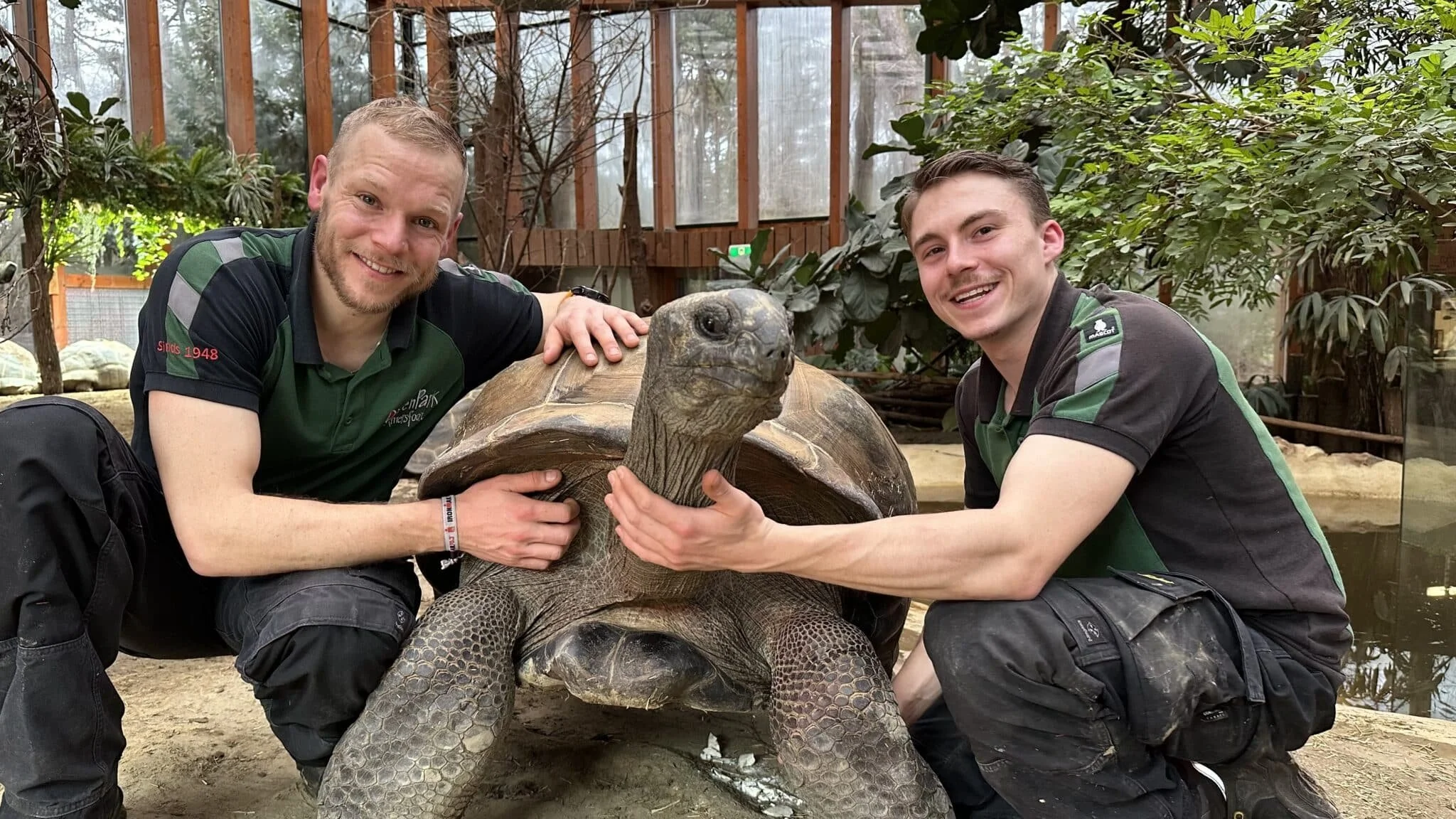 How Is It To Train Giant Turtles and Tortoises?