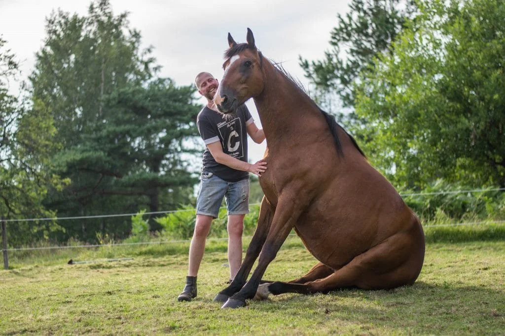 Horses - Same Techniques But Different