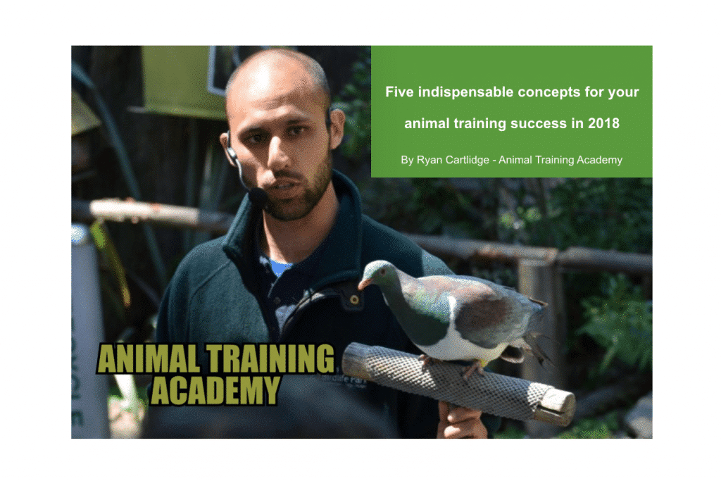 Top 5 Concepts What Makes Your Training a Success