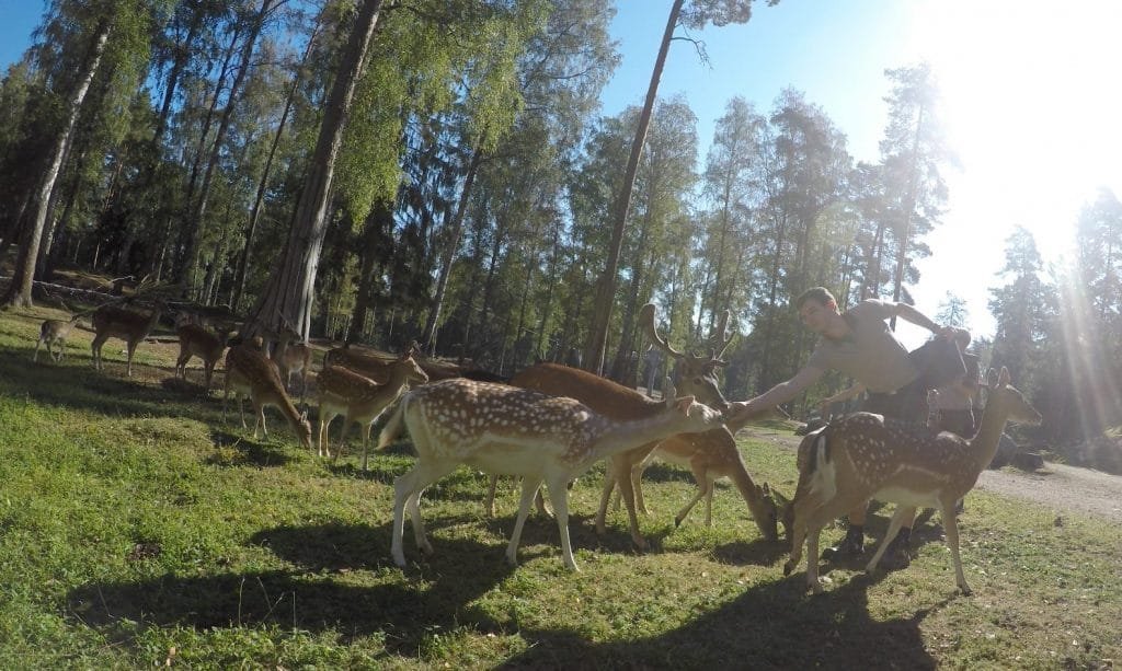How Kolmården Zoo's Training System Gave Hours Back to Their Keepers