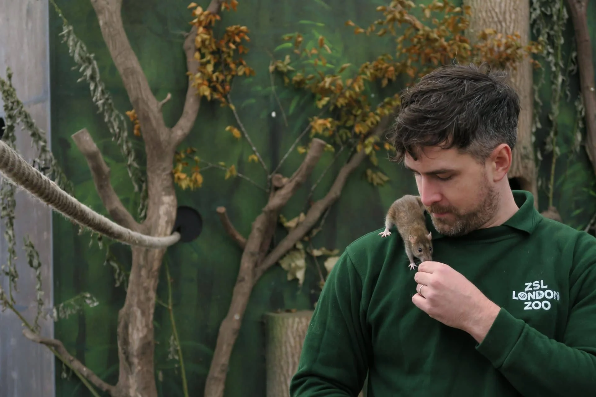 Zookeepers Don't Exist; Associative Learning Happens All The Time