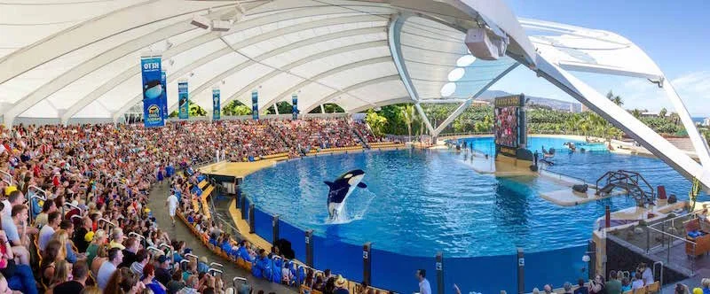 Zoos in the CYBER activism age﻿