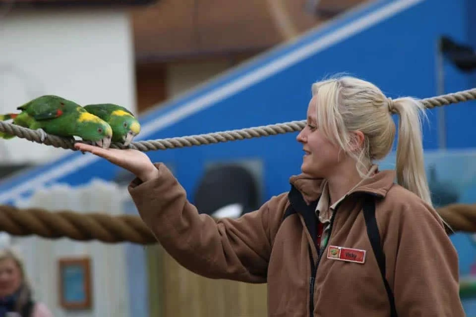 Cooperative Feeding; A Training Essential