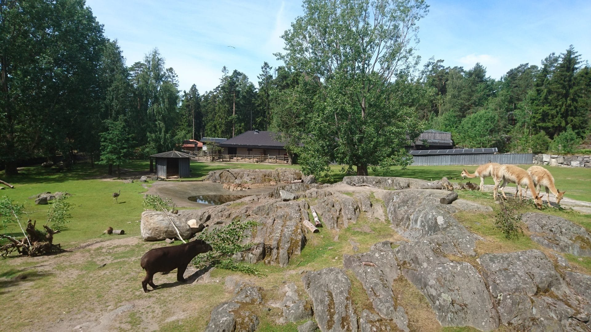 Applying Behaviour Management In A Mixed Species Exhibit