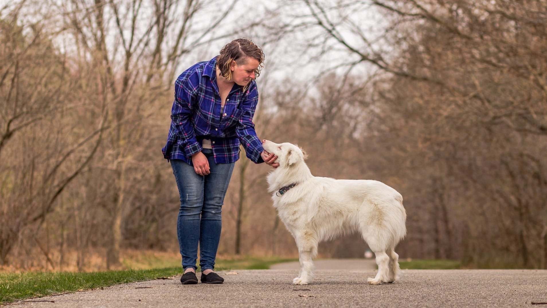 Animals with Disabilities; How we can overcome their challenges.