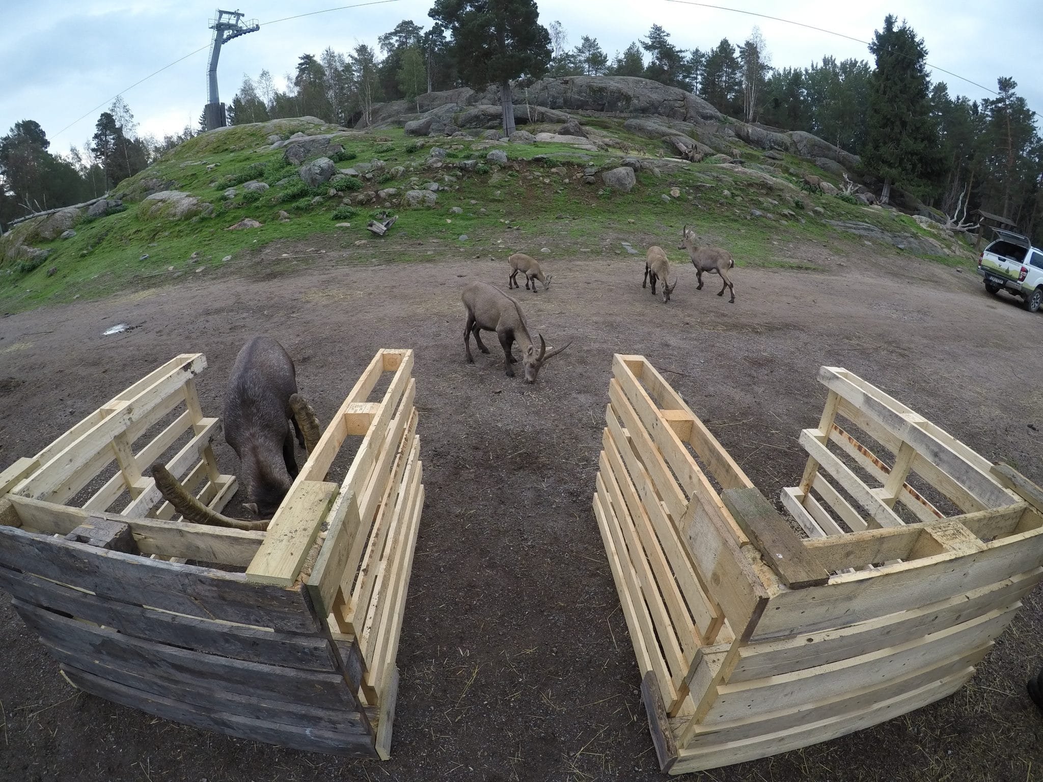 The Placement of The Reinforcer Helps to Improve and Strengthen Behaviour
