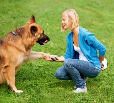 Guest Speaker: Kayce Cover - Training multiple species; Always the Same, Except When it is Different…