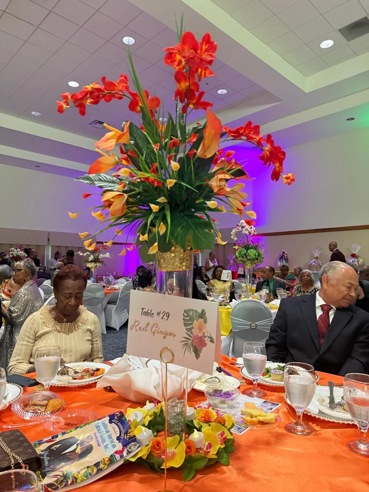 WhatsApp Image 2026-02-10 at 12.49.47 AM (1).jpeg