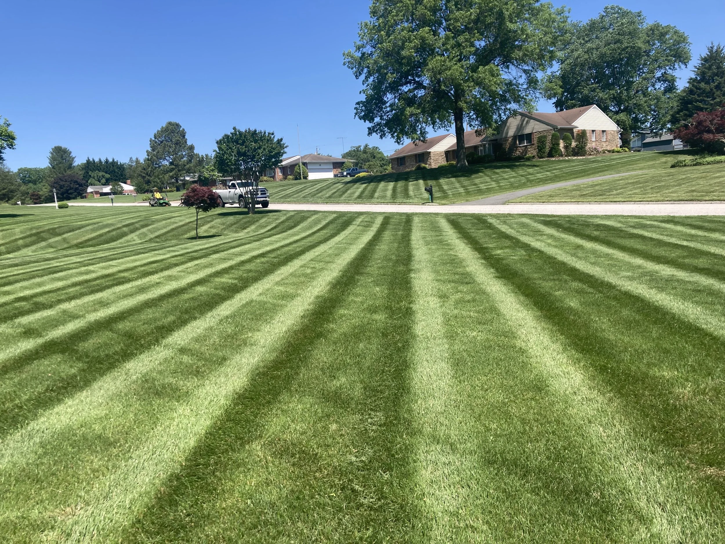 Well-maintained green lawn with striped grass pattern in a suburban neighborhood, with houses, trees, a mailbox, and a clear blue sky.
