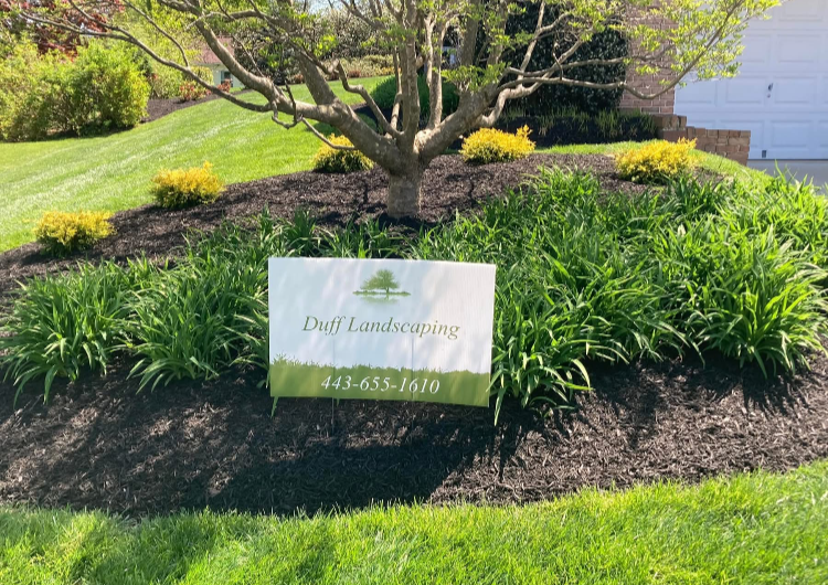 Landscaped yard with a trimmed tree, flowering bushes, green grass, and a business sign for Duff Landscaping with a phone number.