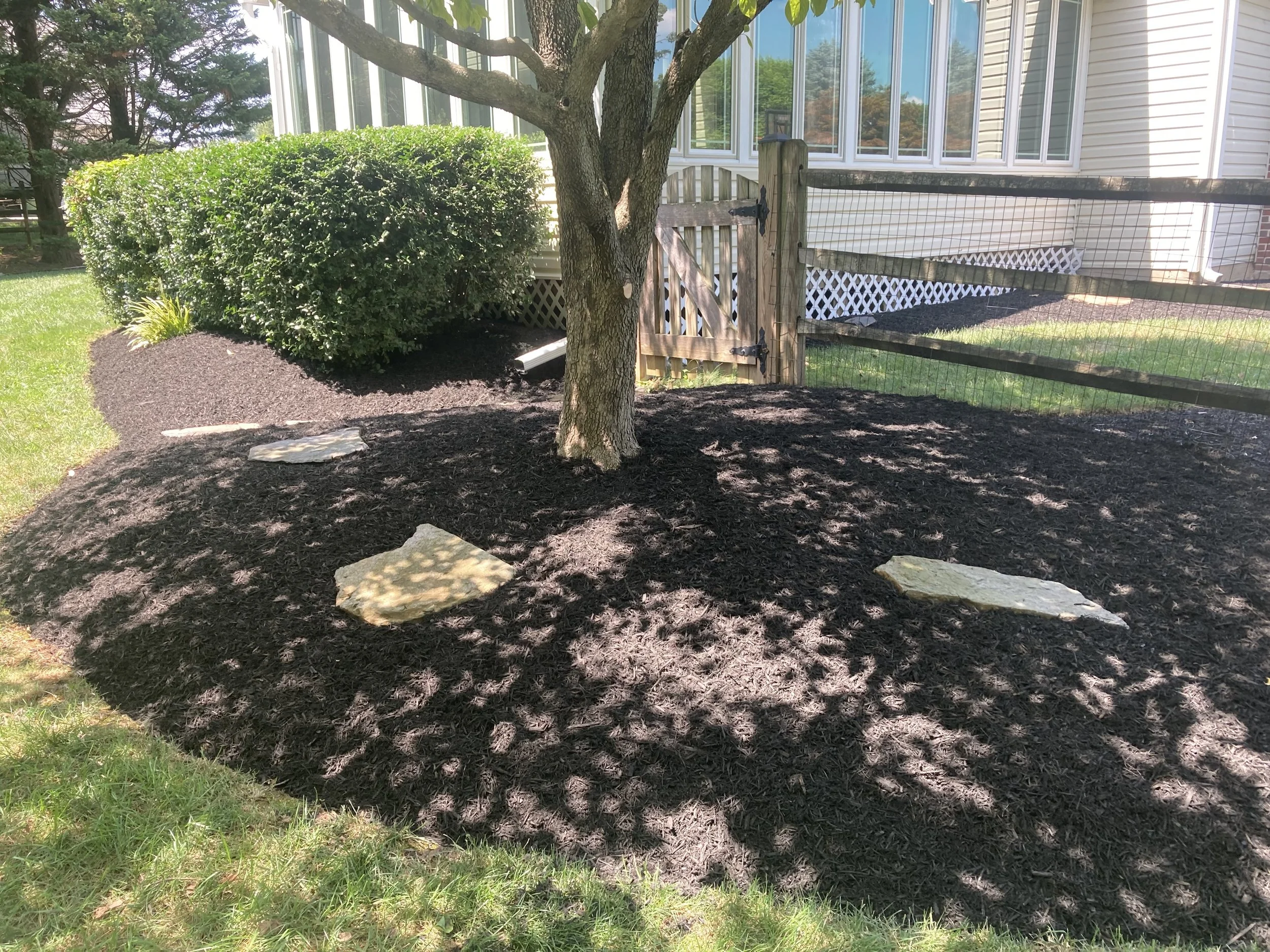 A backyard with a tree surrounded by freshly laid dark mulch, two stepping stones, a green bush, a wooden fence with gate, and a house with beige siding and white windows in the background.
