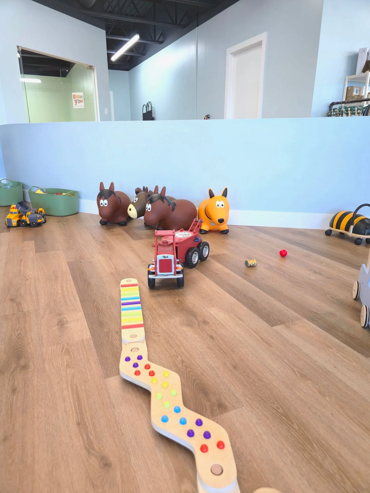 Indoor play area with wooden flooring, featuring toy animals, cars, and balls.