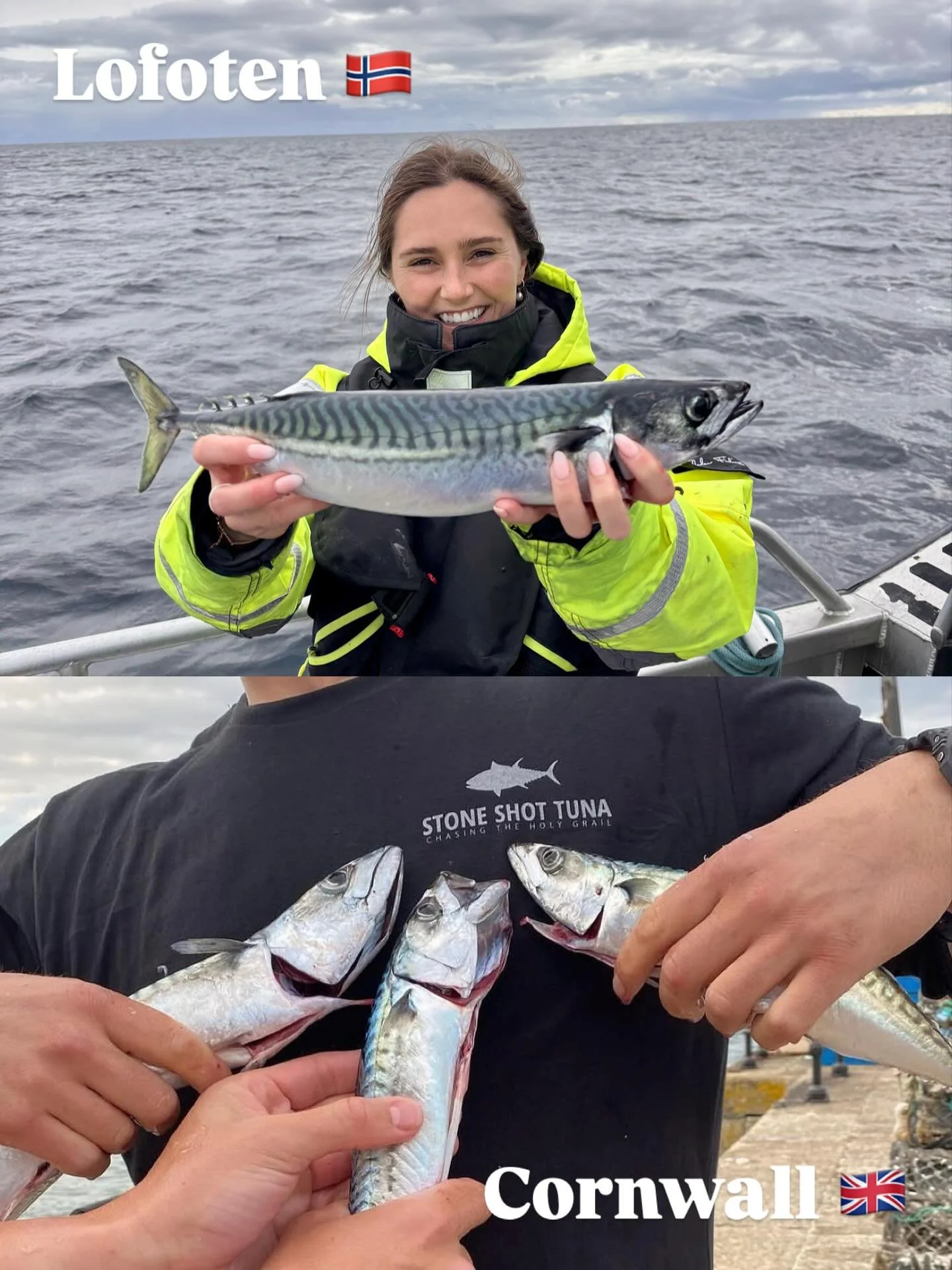 Slightly more meat on a Norwegian Mackerel than I&rsquo;m used to..!

🇳🇴 🇳🇴 🇳🇴 or 🇬🇧🇬🇧🇬🇧 ????

#Norway #Lofoten #Fishing #Mackerel #Hunting #LofotenIslands #Henningsv&aelig;r #BigFish #GameFishing #HunterGatherer #MyEscapism #Escapism #Sc
