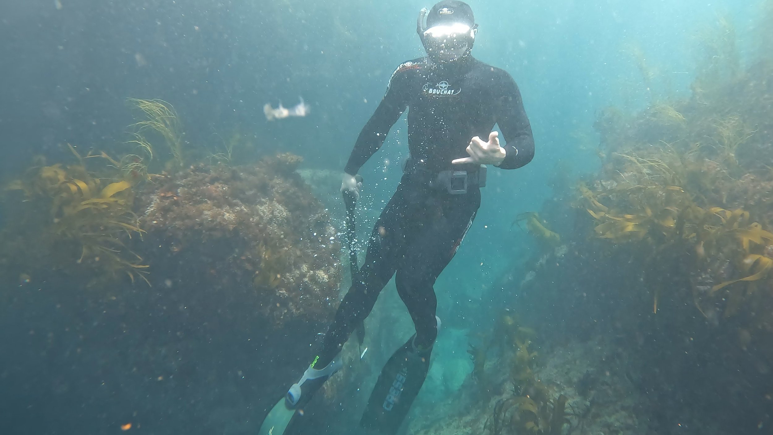 Introduction to Spearfishing - Full Day