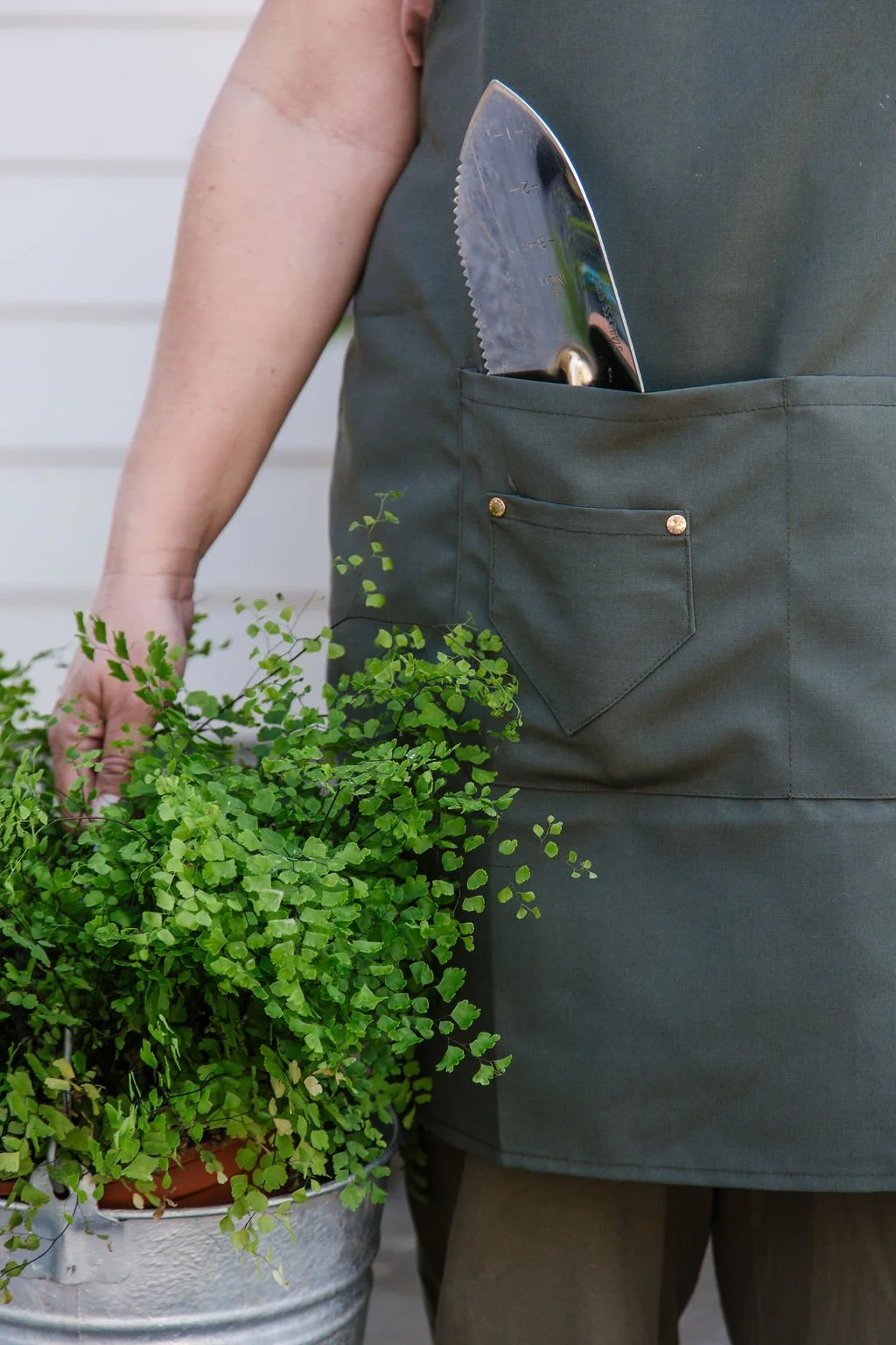 What do we do with last season’s plants?