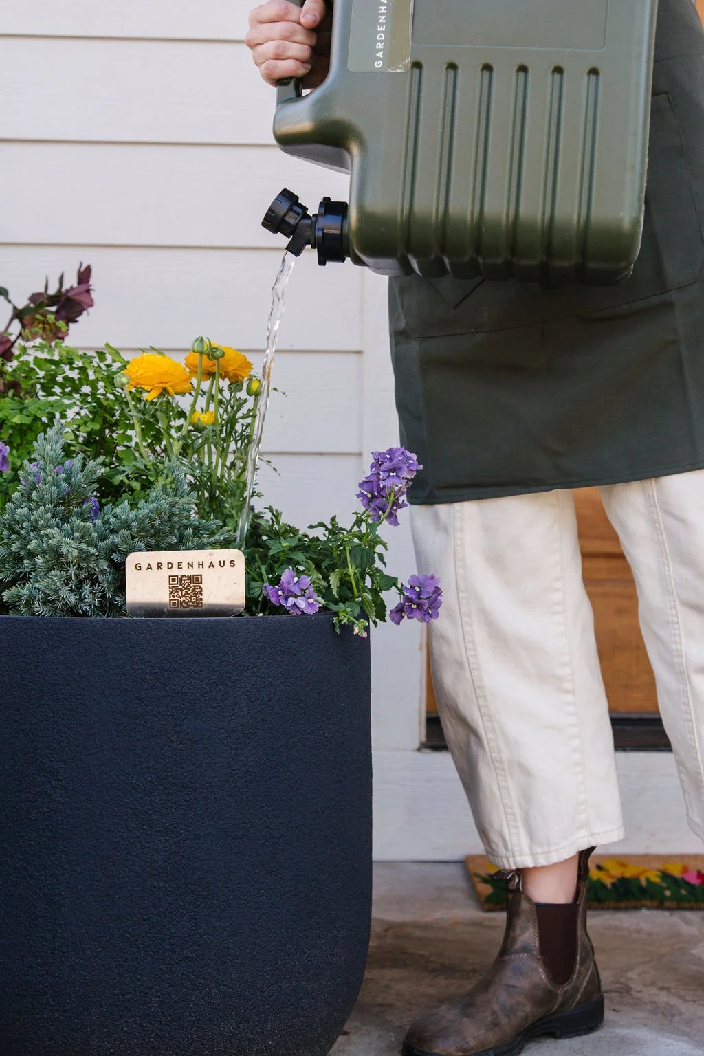 Keep your Summer Install Thriving during this scorching hot Asheville summer