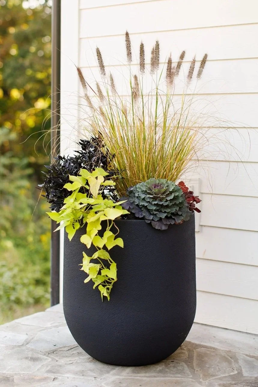 Gardenhaus050.jpg
