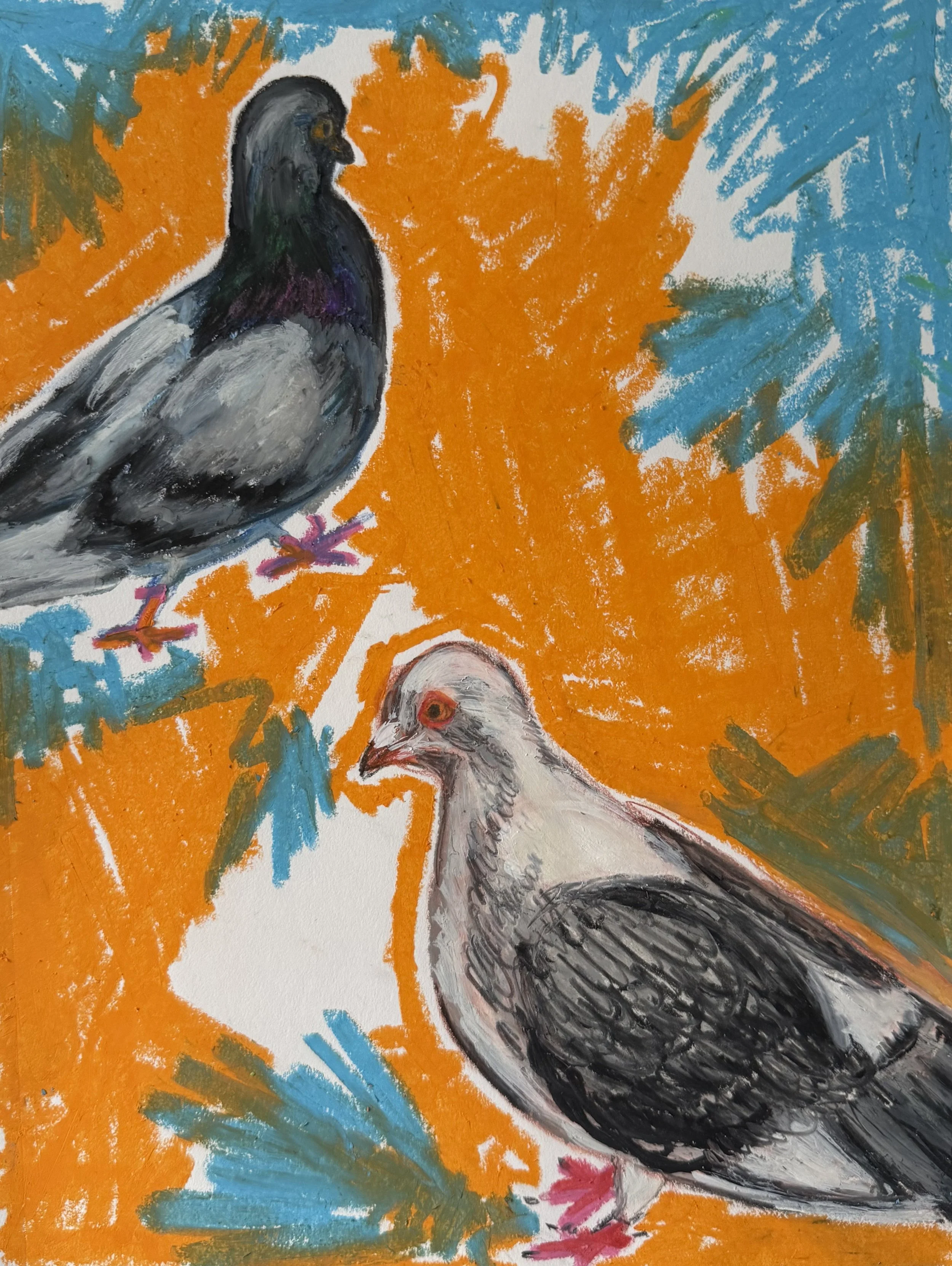 Orange and Blue Pigeons.jpeg