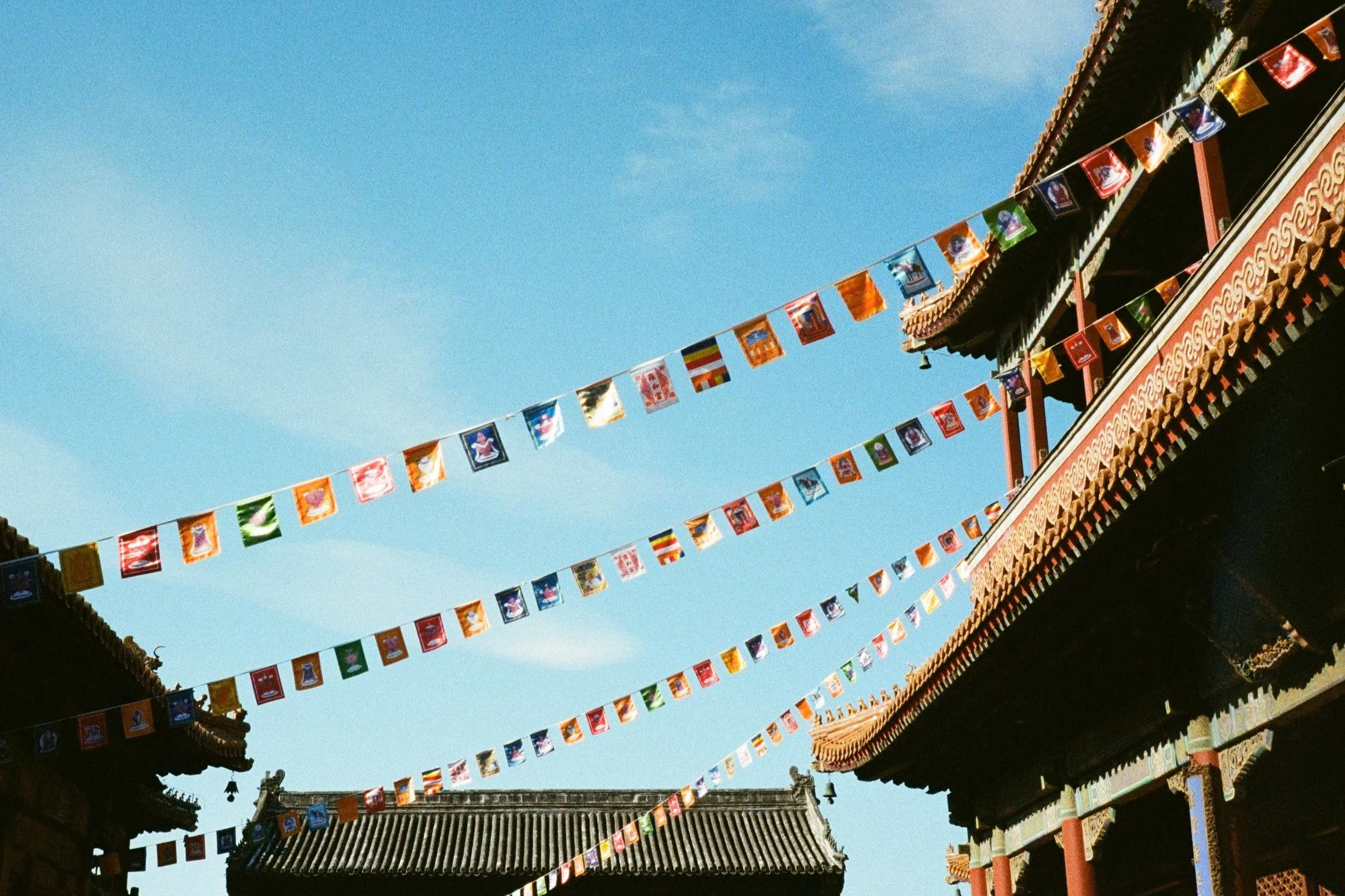 china6.jpg