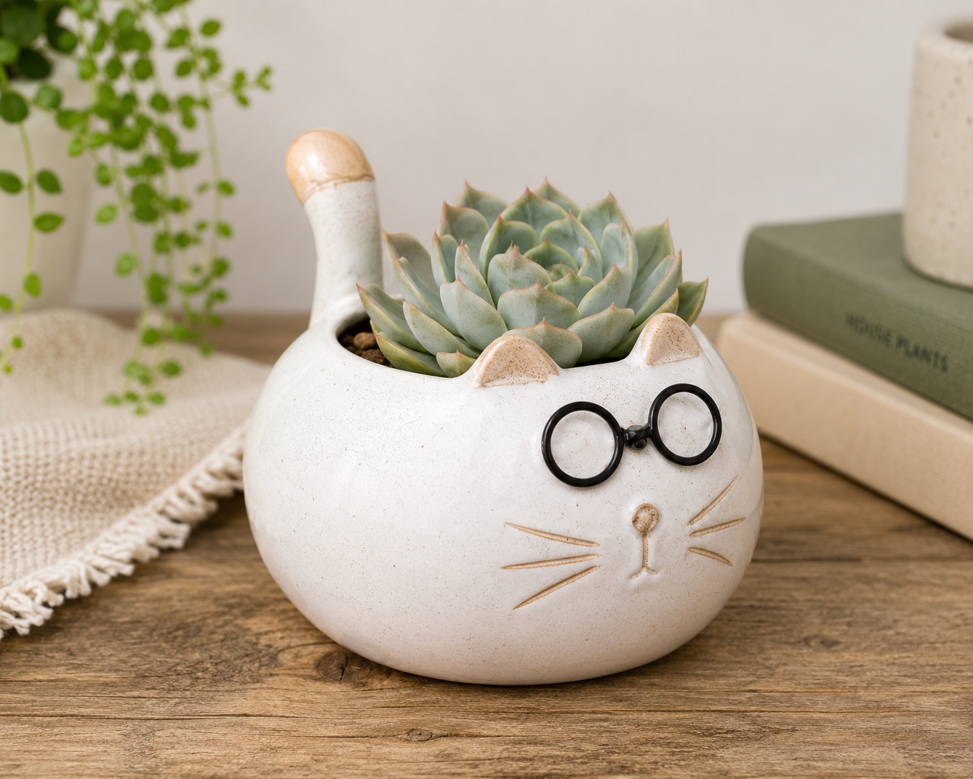 Fat Cat with Glasses Planter with Live Succulent