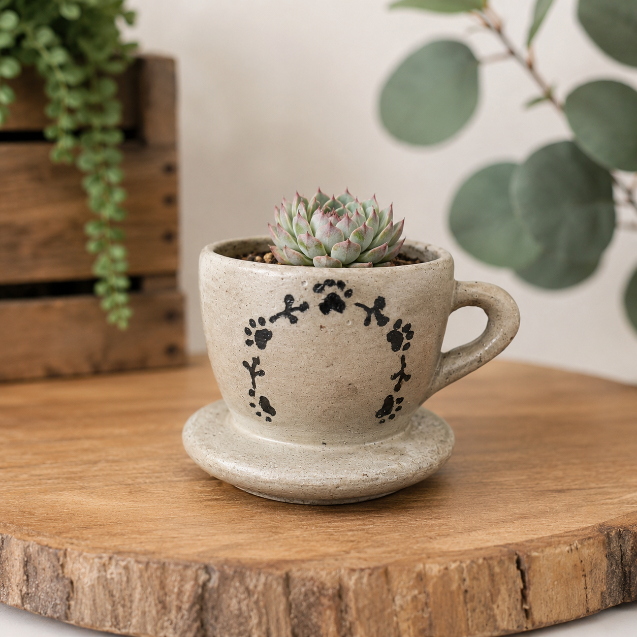 Concrete Hand painted "Tea & Coffee" Cup Planter with Live Succulent