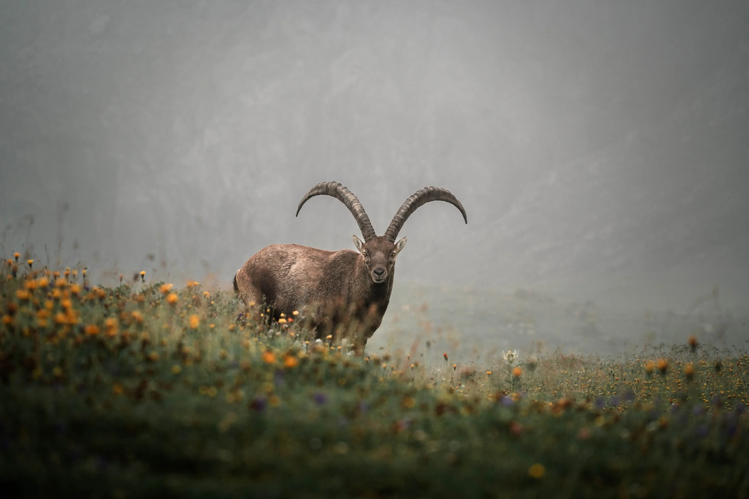 Landschaftsfotografie
