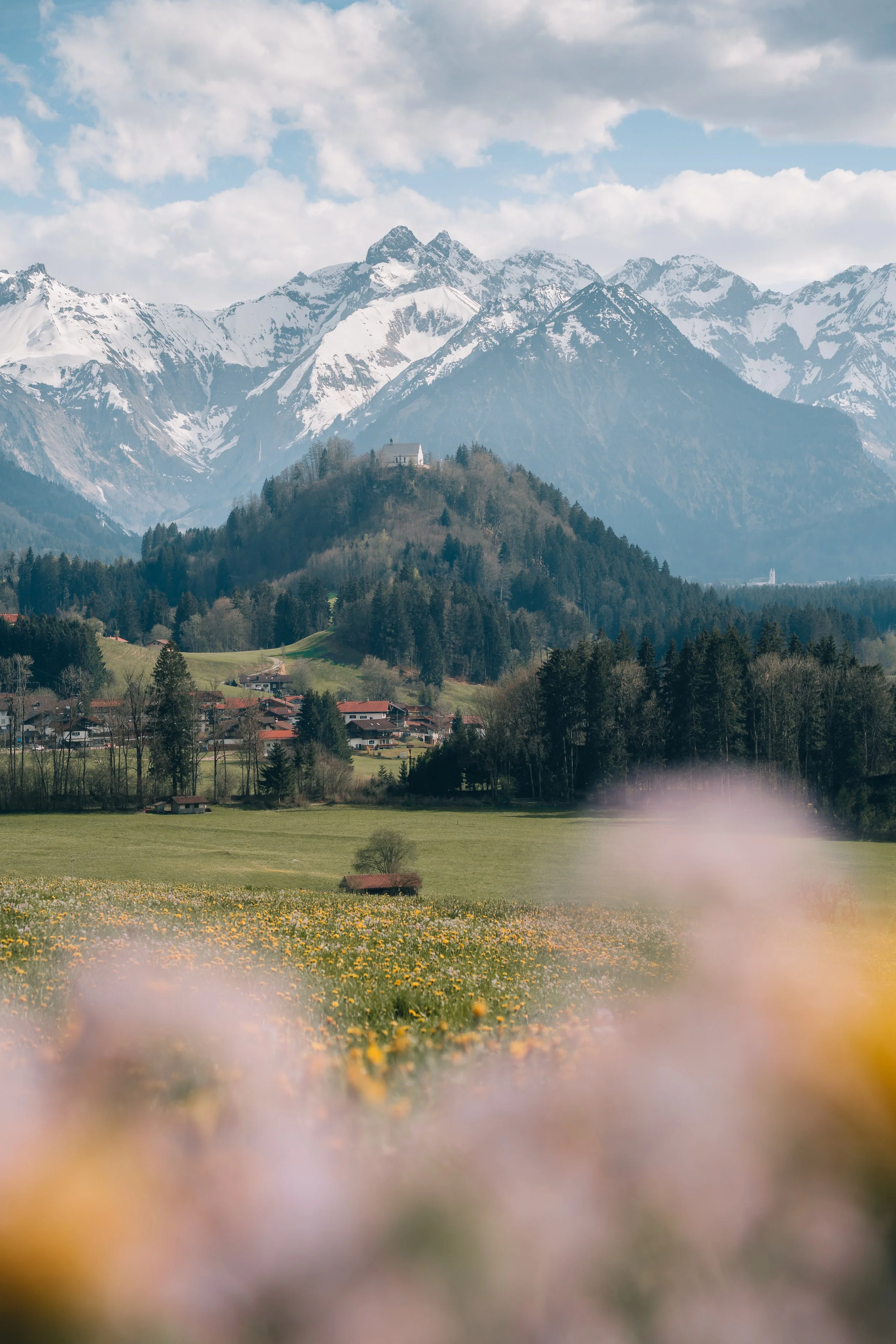 Frühling (1 von 1).jpg