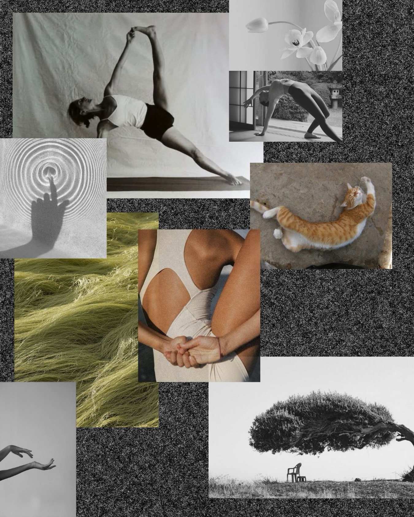open_residency_1781625557_3920881602950120566_70186469916.jpg