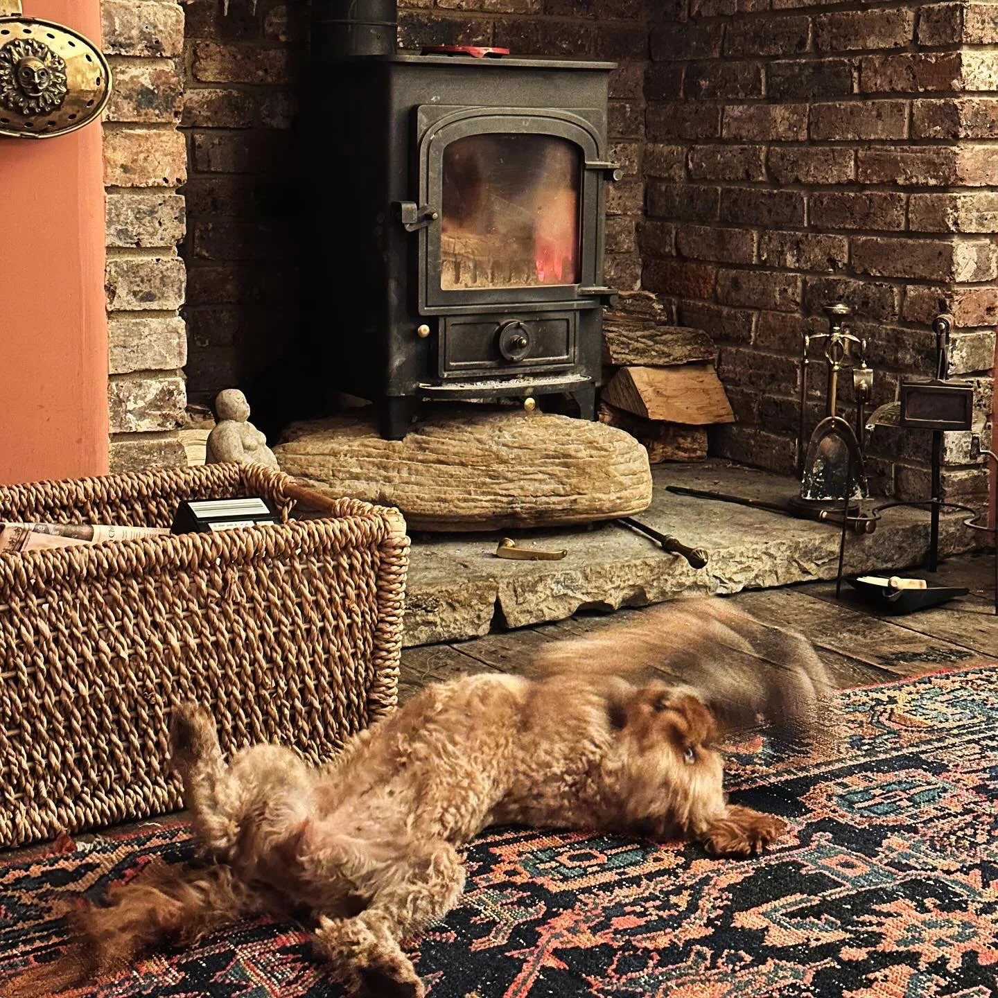 A cozy living room scene with a black wood stove on a stone hearth, a dog laying on a colorful patterned rug, a wicker basket, and a brick fireplace wall.