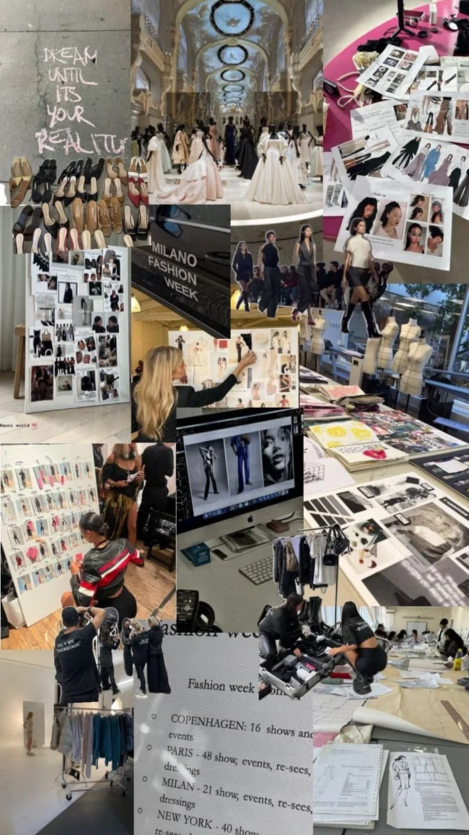 The Study – Career & Law Journey