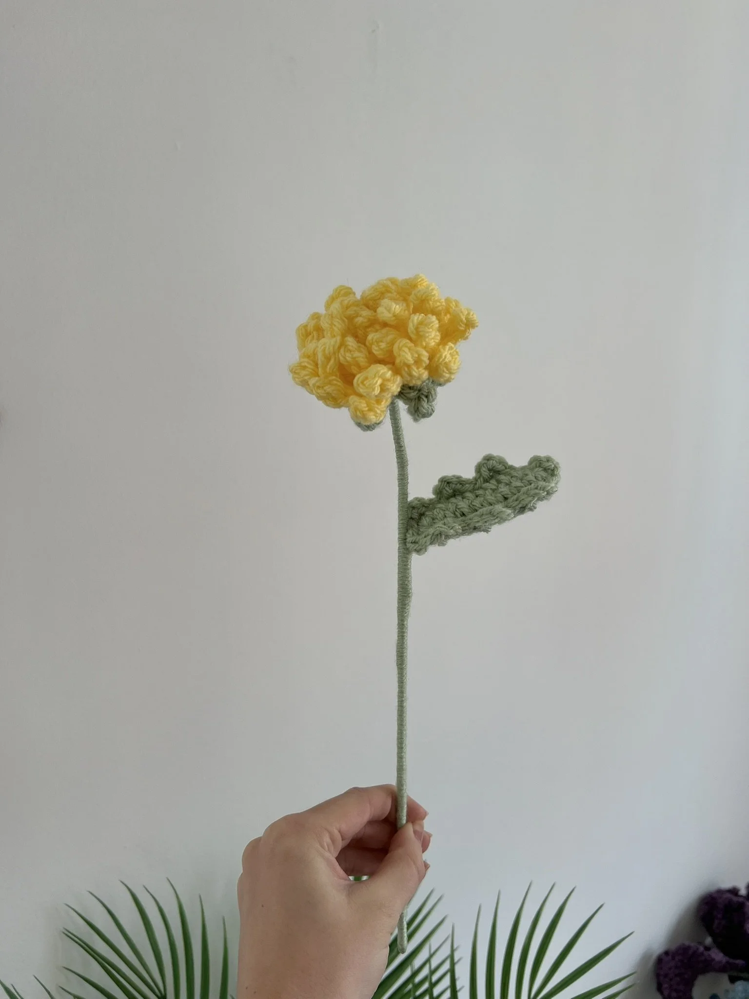 Dandelion (version 1)