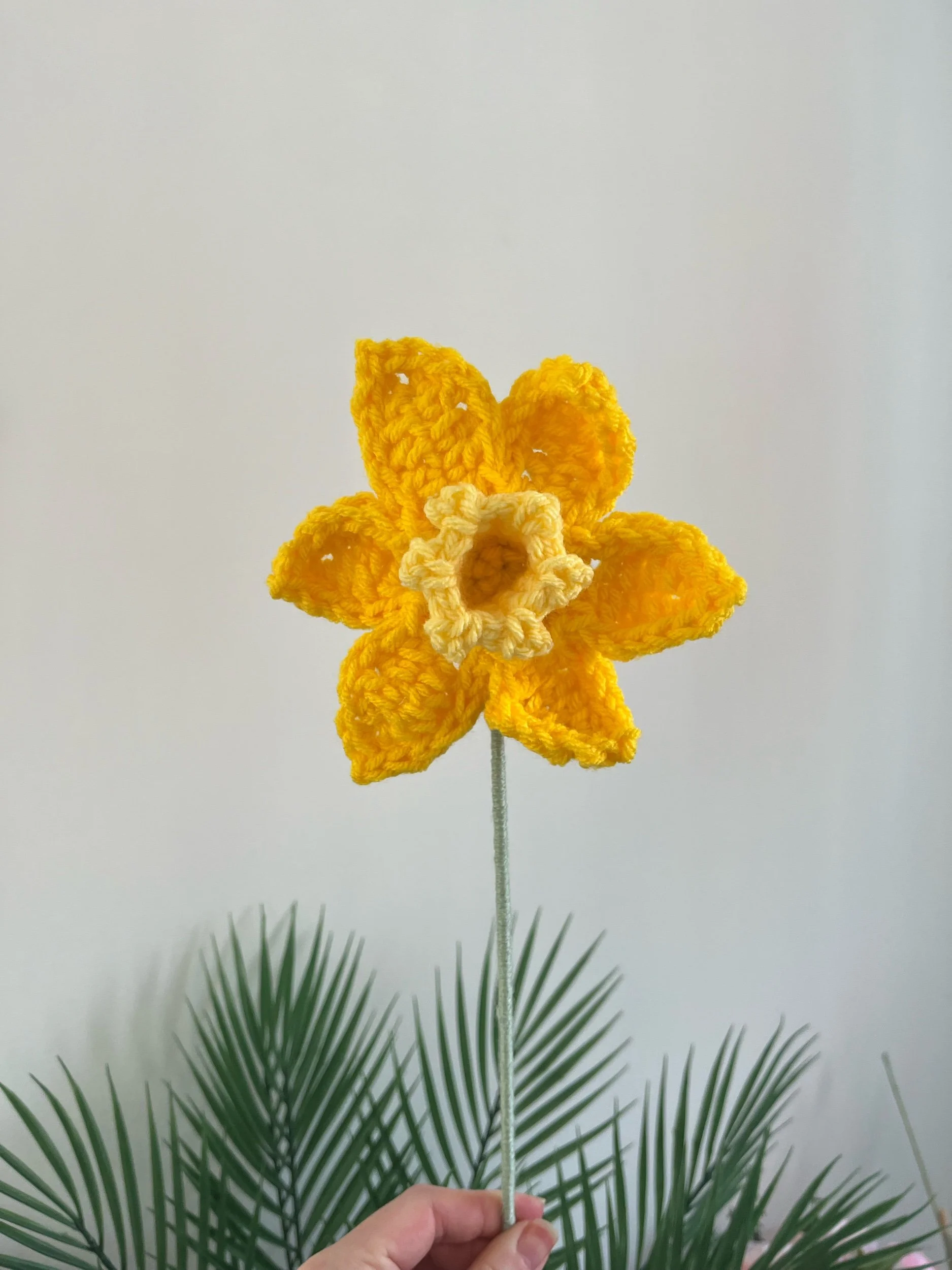 Daffodil