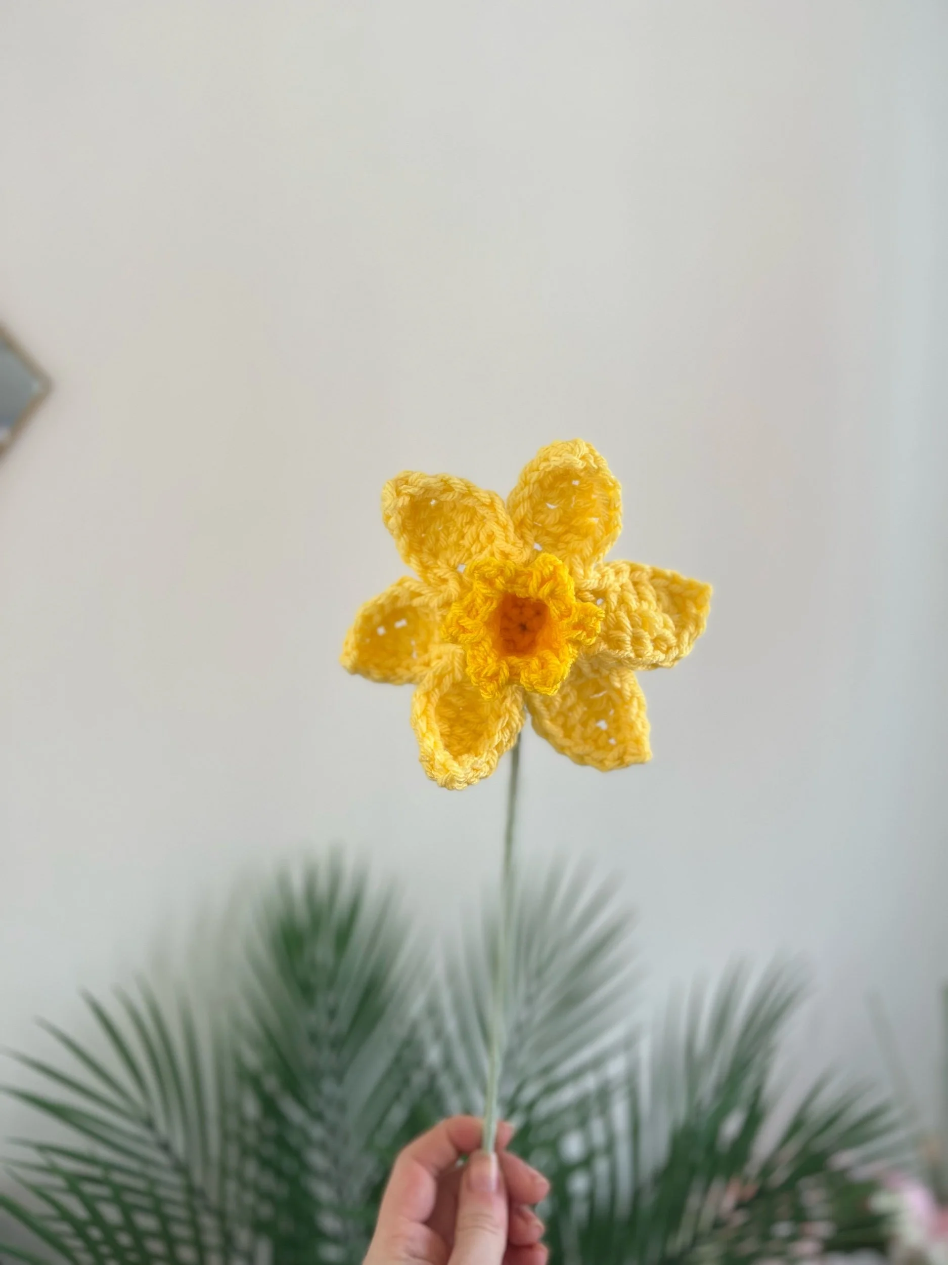 Daffodil