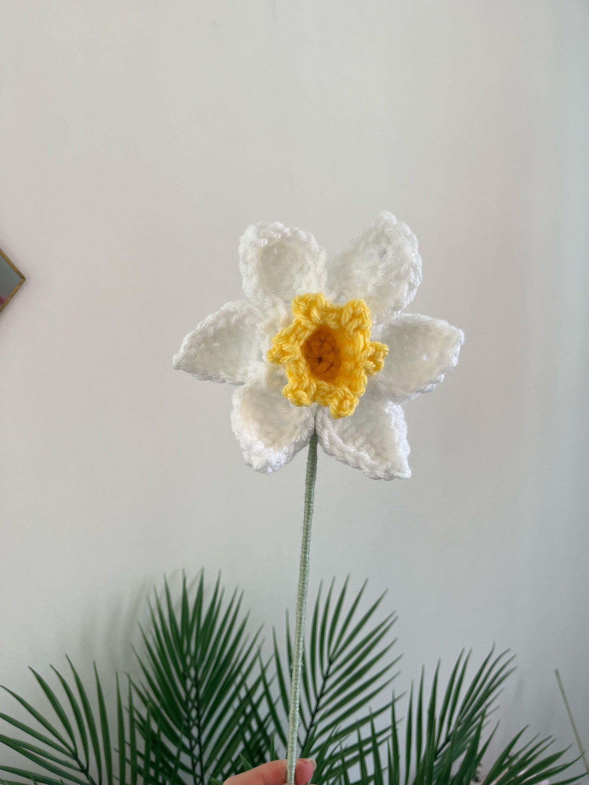Daffodil