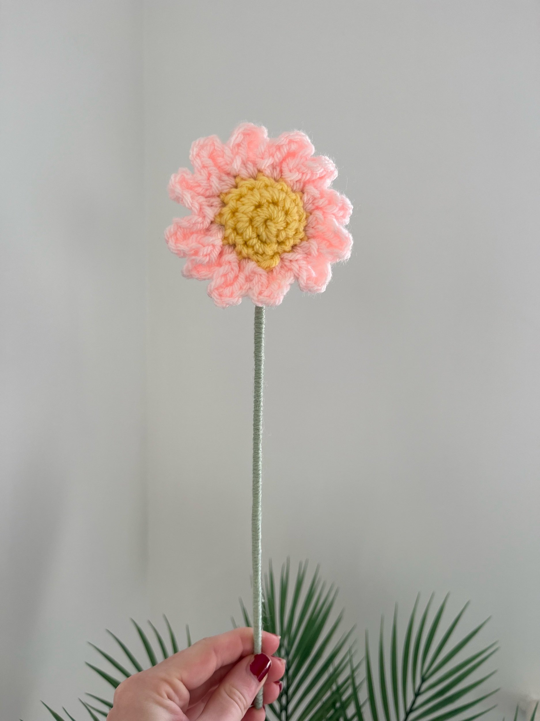 Daisy