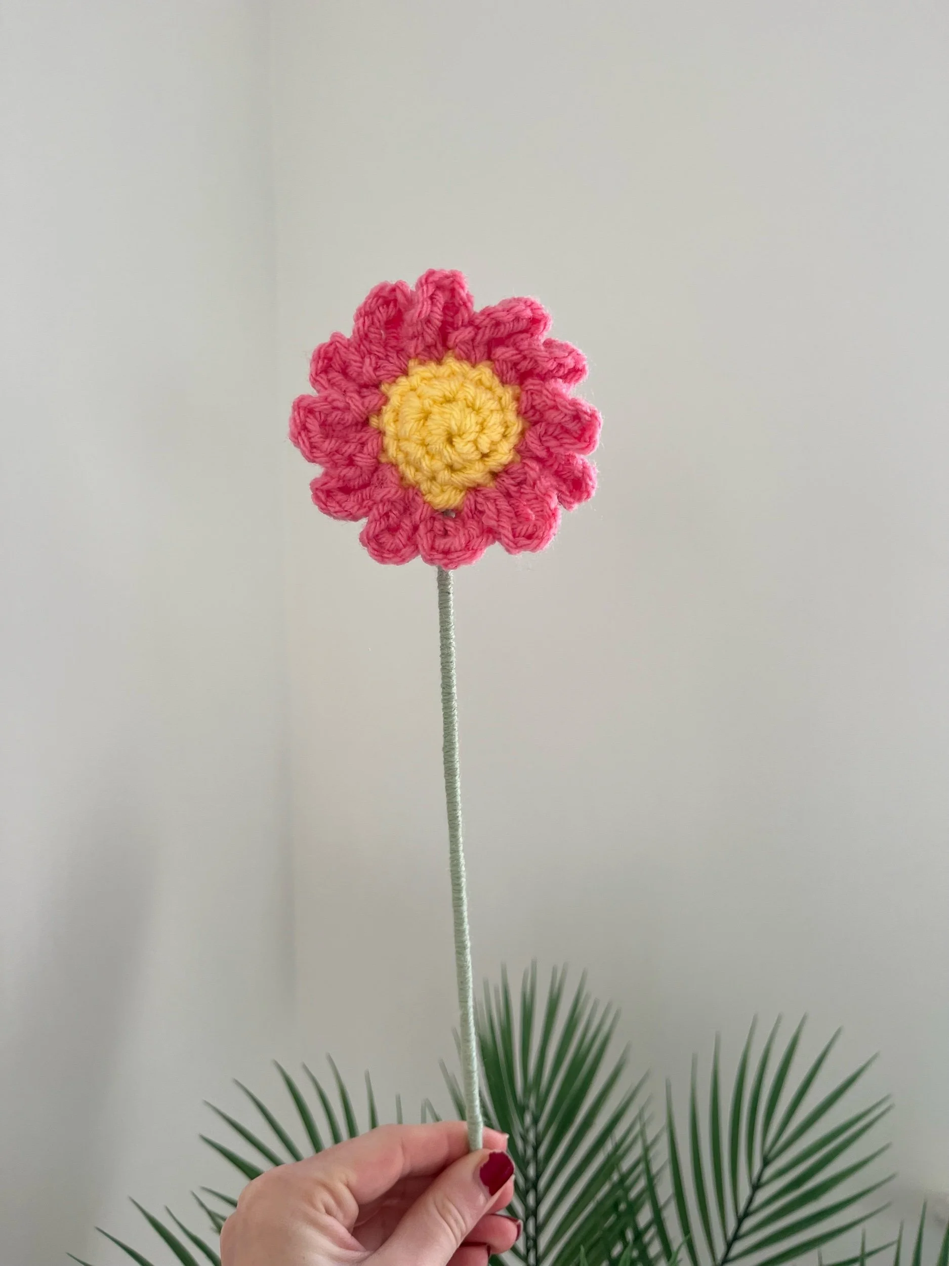 Daisy