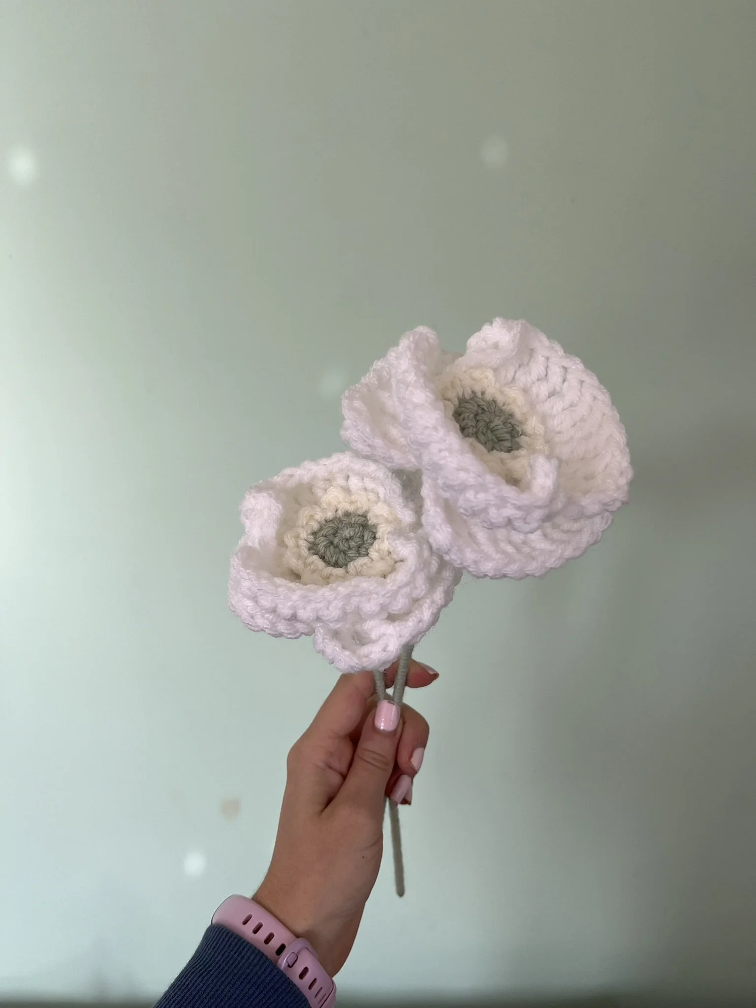 Poppy
