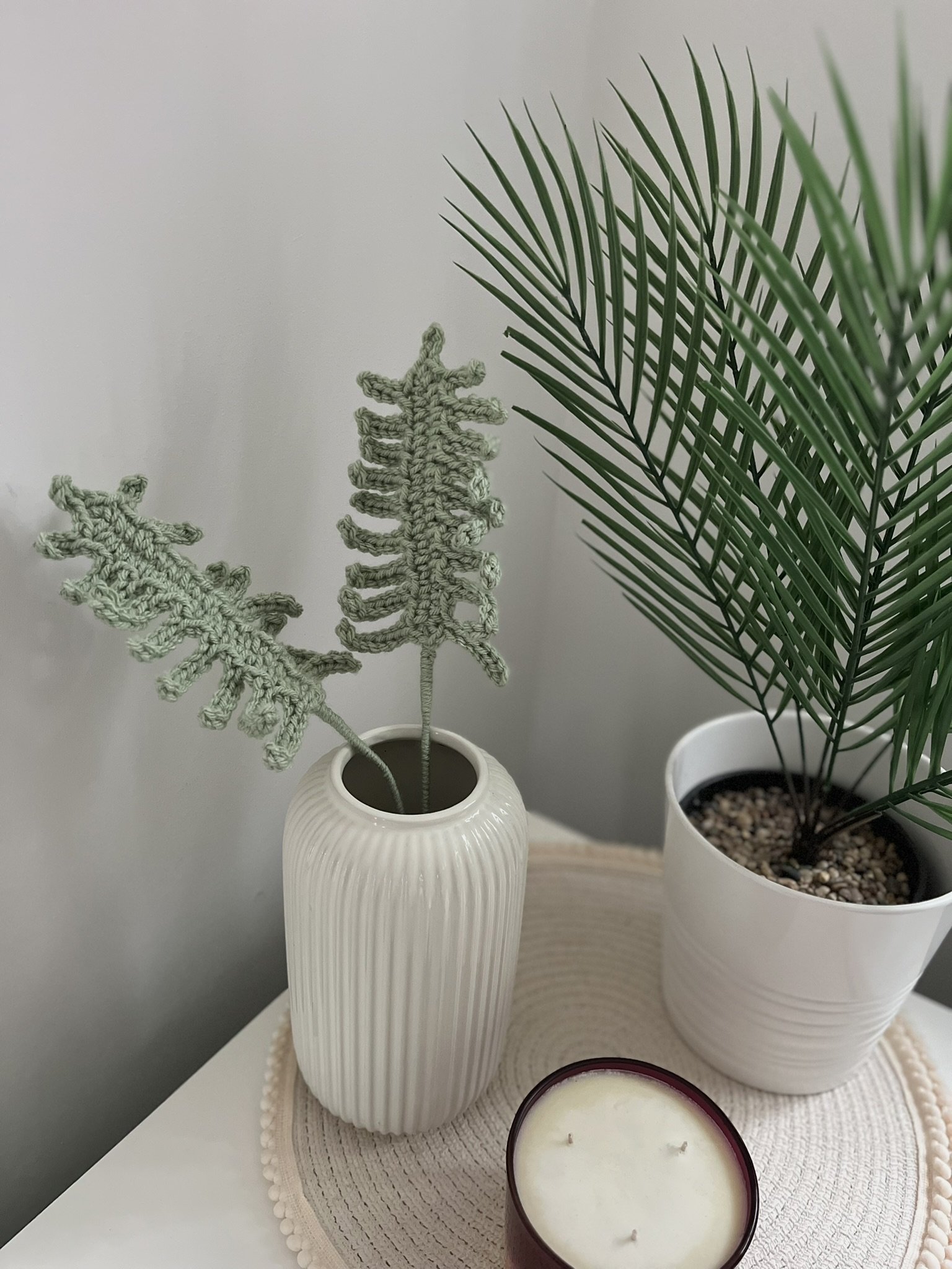 Fern