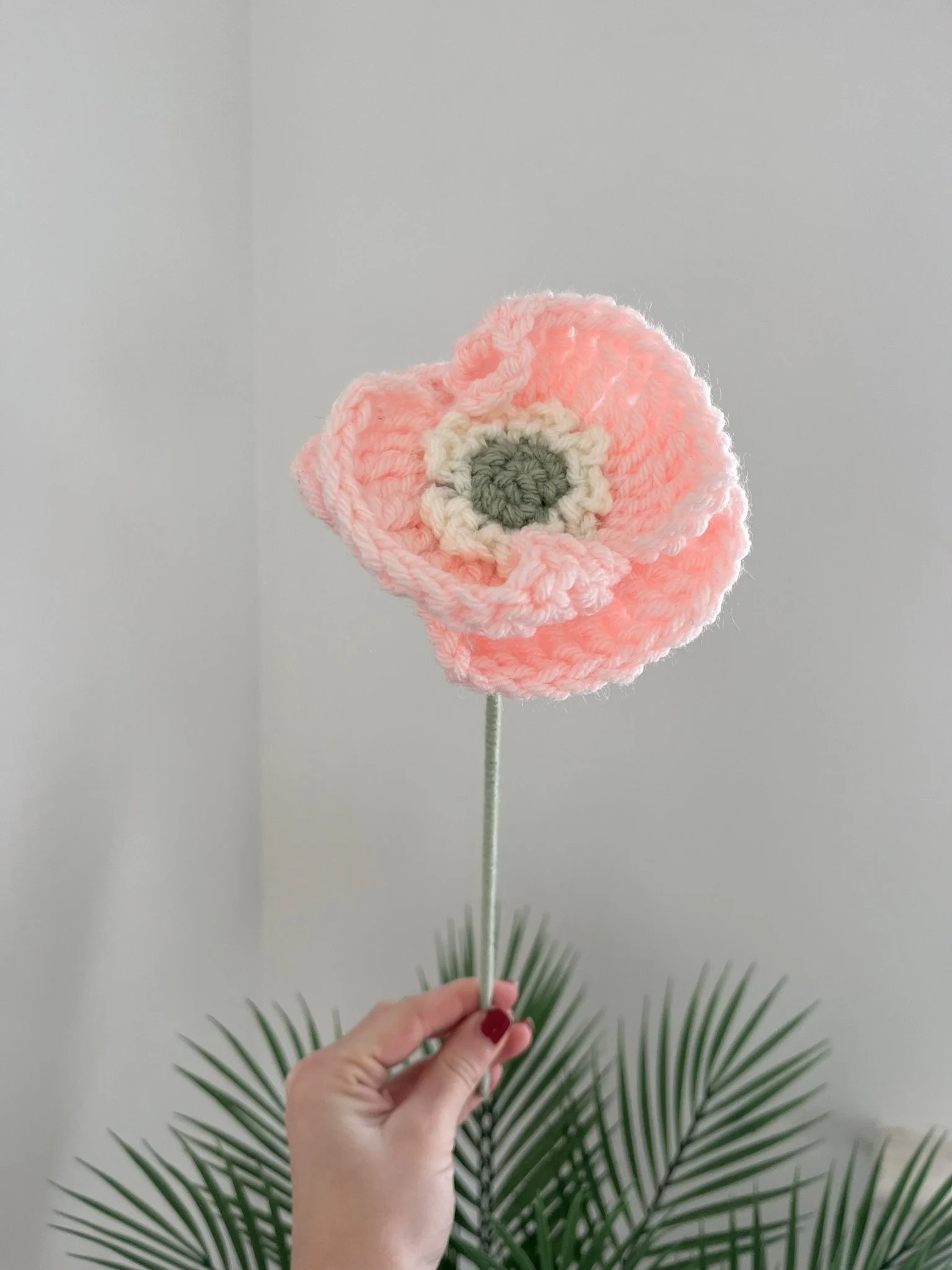 Poppy