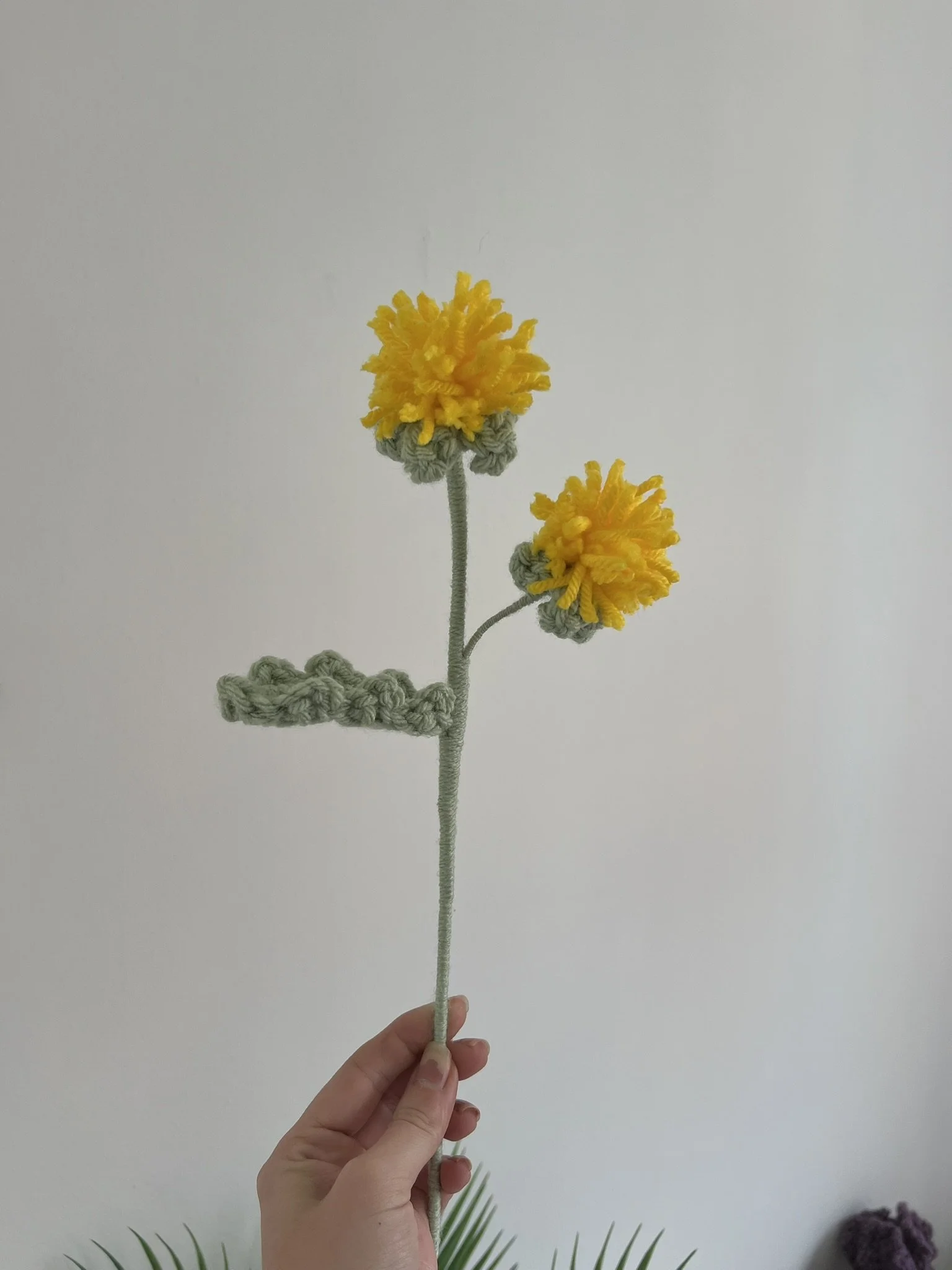 Dandelion (version 2)