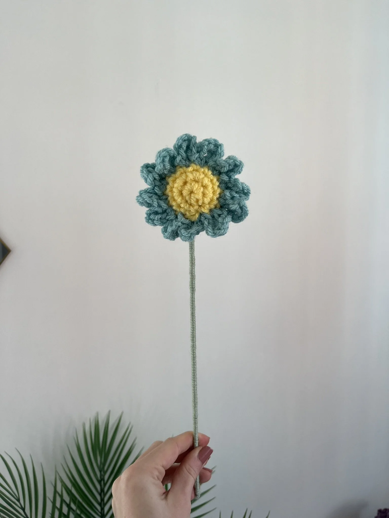 Daisy