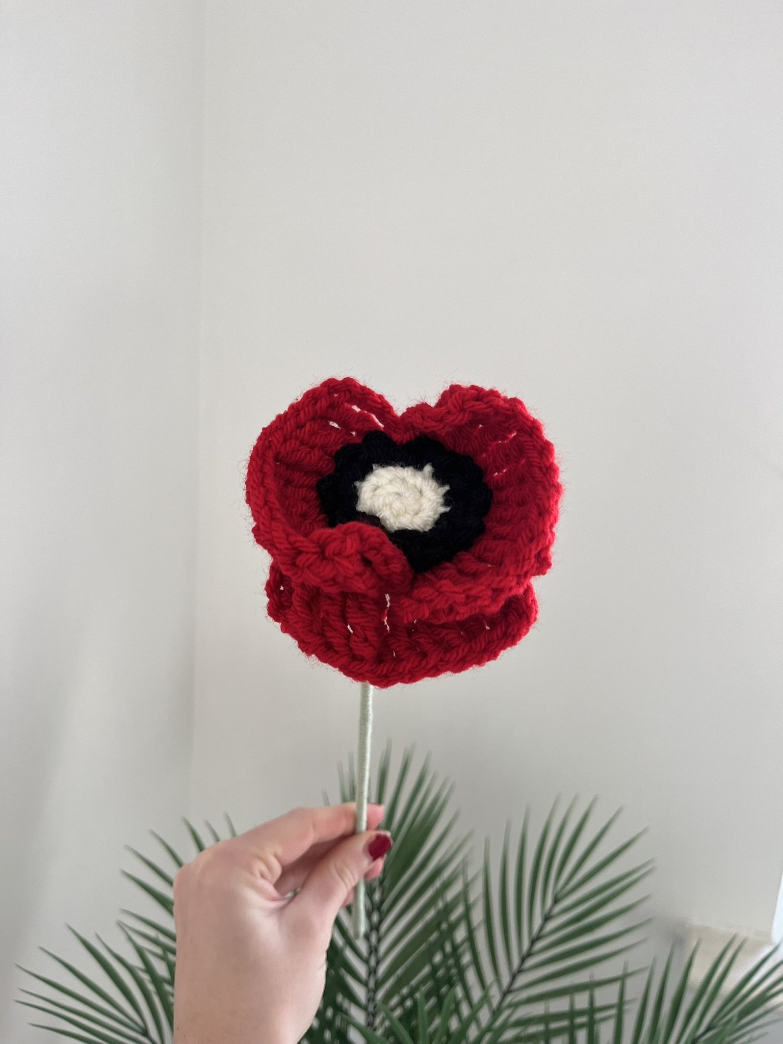 Poppy